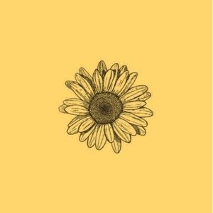 Meet your Posher, Elise